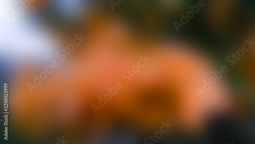 Abstract Blurry Orange Flowers Background with Warm Autumn Tones, Soft Focus Bokeh Texture and Artistic Nature Aesthetic for Creative Design
