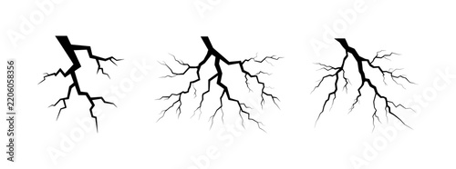 Tree root vector illustration collection with branching underground roots isolated on white background for nature designs