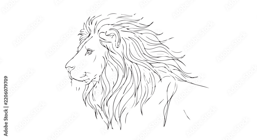 Obraz premium Minimalist continuous line art illustration of a majestic lion profile with a flowing mane on a textured vintage background