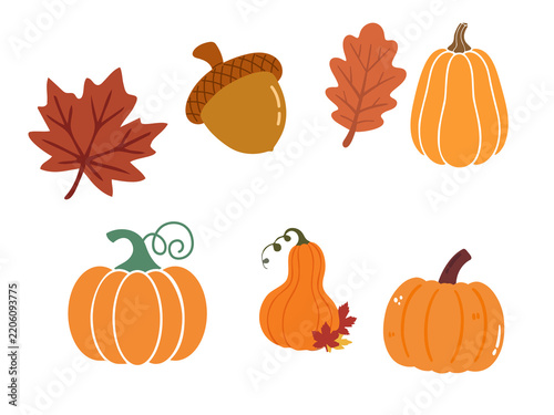 Autumn harvest elements set with pumpkins and acorns