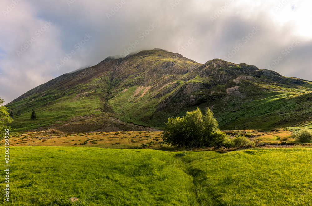 Fototapeta premium Heather-covered moorland hillside beneath a wide sky on the West Highland Way