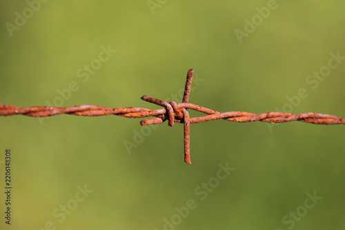 Extreme close-up of an old rusted barbed wire knot against a blurred green background