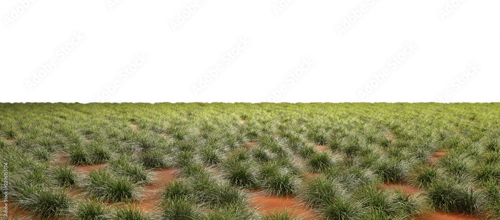 Obraz premium Grassy ranch fields scenic environmental cut out backgrounds 3d render png