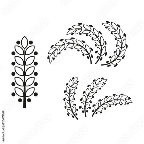Wheat branch leaf floral grain set with black vector silhouette