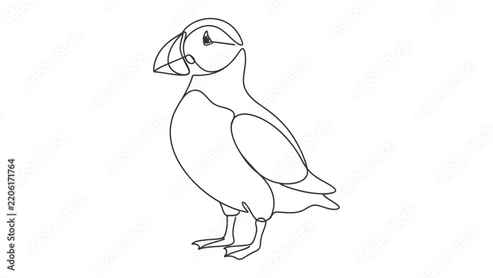 Fototapeta premium Puffin illustration, clean line art style. A simple drawing of a puffin, showcasing its unique beak and silhouette.