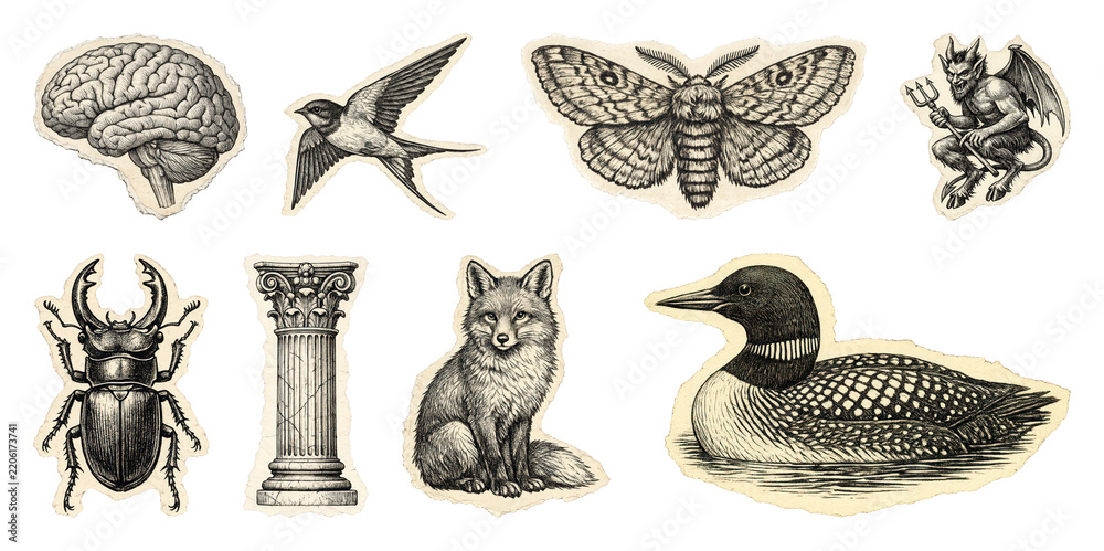 Obraz premium PNG Vintage engraved animal and nature illustration collage set, transparent background