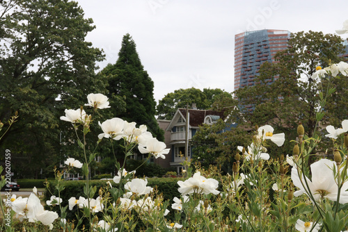 Vancouver area