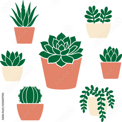Potted succulent and cactus house plant flat vector illustration set graphic