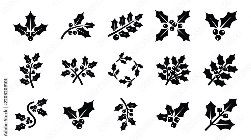 Fototapeta premium Black and White Holiday Holly Leaf Designs with Berries Transparent Background Vector Illustrations