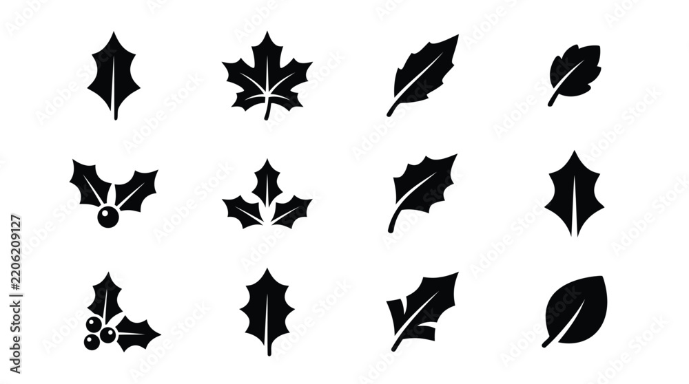 Fototapeta premium Black and White Holiday Leaf and Holly Branch Vector Designs with Berries