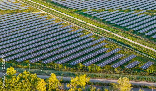 Aerial view of rows of photovoltaic panels covering a large renewable energy facility in Trino, Piedmont, Italy.
