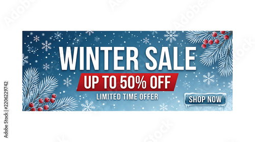 Winter sale banner featuring blue background, with snowflakes, pine, branches, red berries, and a shop, now button for, a limited time, discount offer