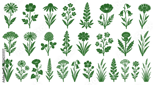 Wildflower Icons Collection Vector Set of Hand Drawn Botanical Illustrations