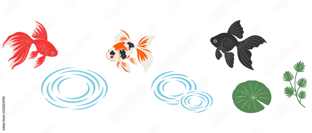 Obraz premium Goldfish icons with water ripple lily pad and pondweed