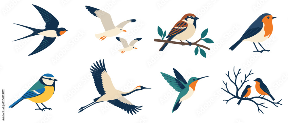 Obraz premium Bird icons with swallow seagull sparrow and hummingbird