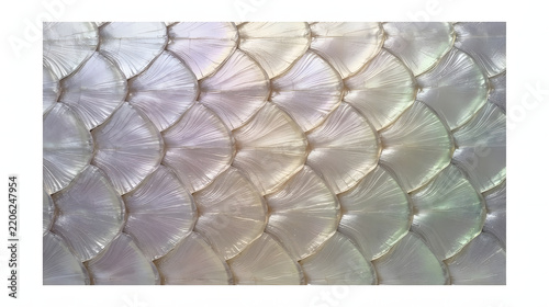 Iridescent fish scale pattern abstract texture background.