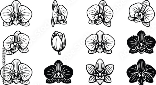 Floral Flower Outline Icon Collection with Decorative Botanical Blossom Designs