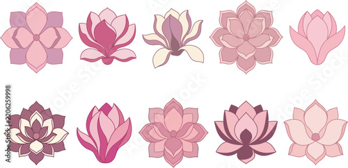 Colorful Lotus Flower Illustration Collection with Botanical Blossom and Decorative Floral Designs