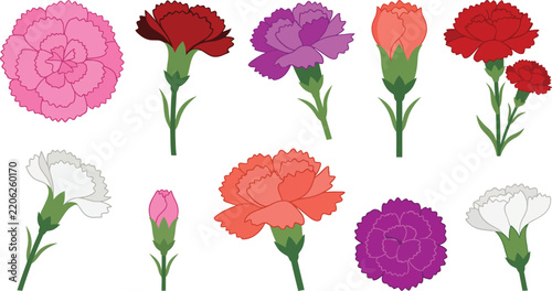 Colorful Flower Collection with Decorative Floral Blossoms and Botanical Elements