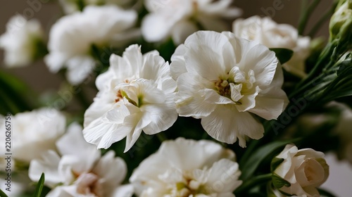 A close up of elegant white flowers with delicate petals and green stems  softly blurred background  natural light