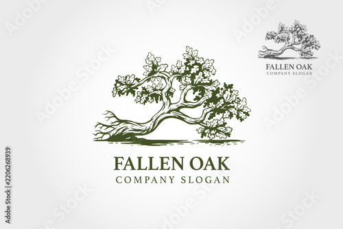 Fallen Oak Tree Logo Design With Hand-Drawn Tree Emblem for Rustic Company Branding and Corporate Identity