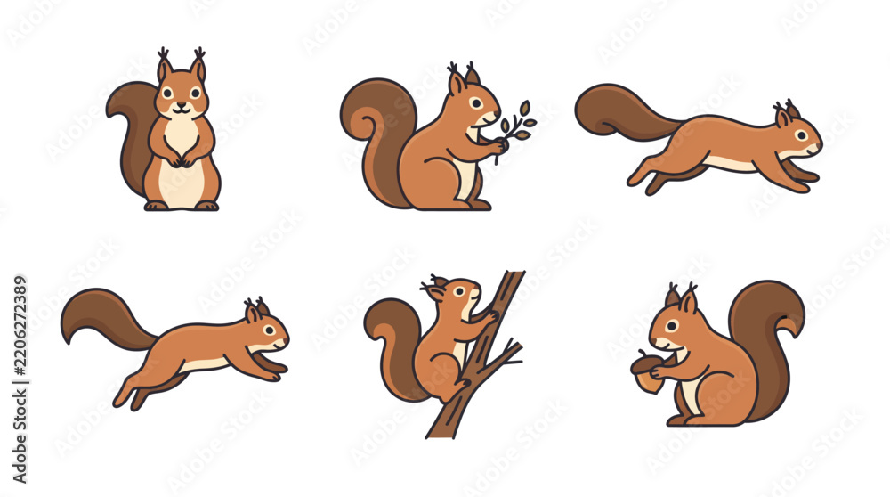 Obraz premium Squirrel Animal Icon Collection for Cute Rodent Wildlife Forest and Woodland Nature Design