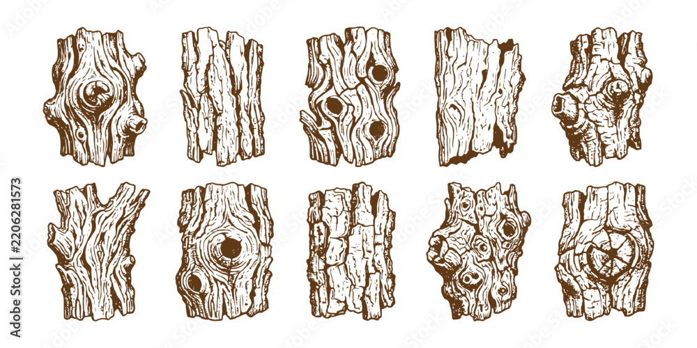 Obraz premium Hand drawn tree bark texture set with detailed wood grain patterns and natural timber pieces vector illustration.
