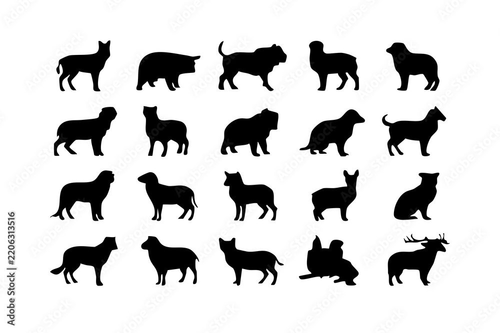 Fototapeta premium Black silhouette collection of different dog breeds isolated on white background, Vector