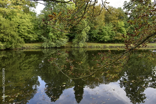 Teich im Park von Bückeburg