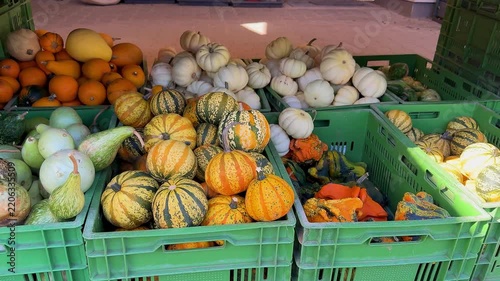 Many Pumpkins and Ornamental Gourds at Autumn Farmers Market