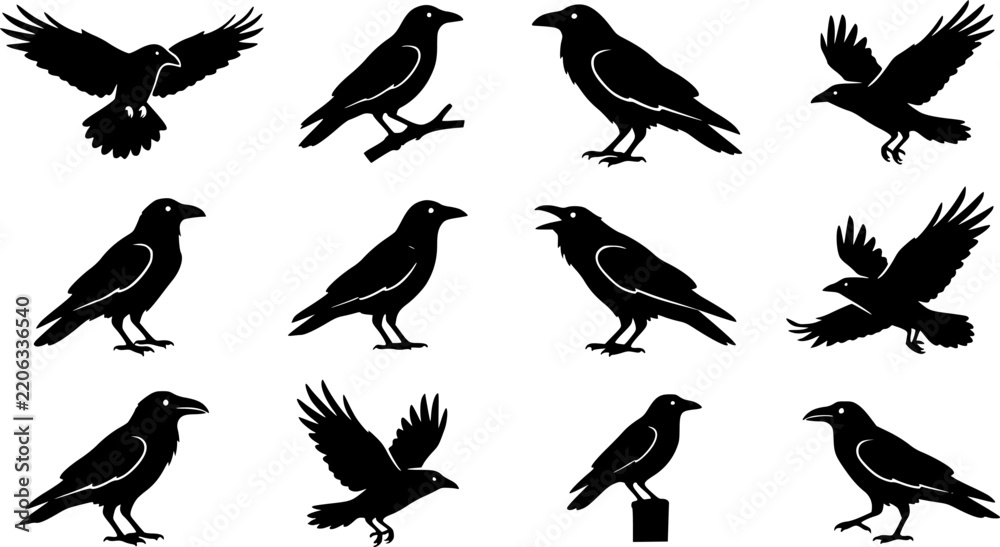 Obraz premium Raven & Crow Silhouette Silhouette Icon Set. Collection of nature & wildlife silhouettes, including raven & crow silhouette, detailed bird shapes, and more.