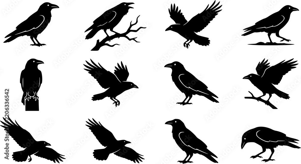Obraz premium Raven & Crow Silhouette Silhouette Icon Set. Collection of nature & wildlife silhouettes, including raven & crow silhouette, detailed bird shapes, and more.