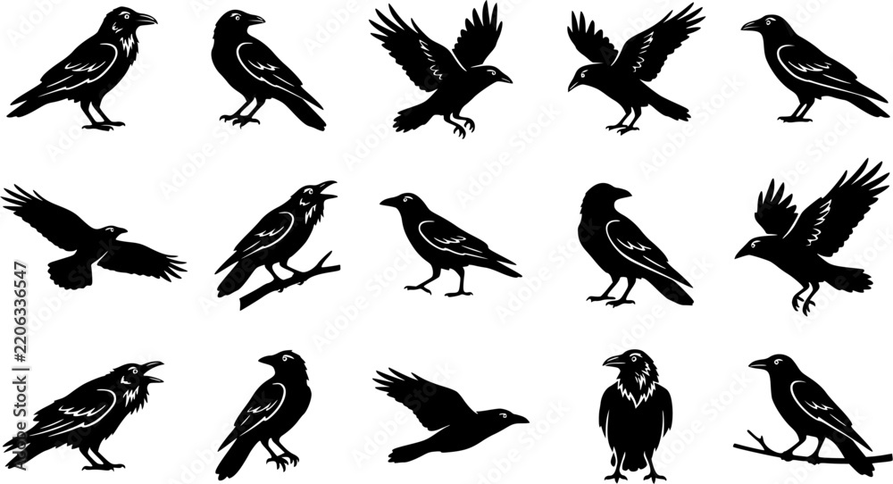 Obraz premium Raven & Crow Silhouette Silhouette Icon Set. Collection of nature & wildlife silhouettes, including raven & crow silhouette, detailed bird shapes, and more.