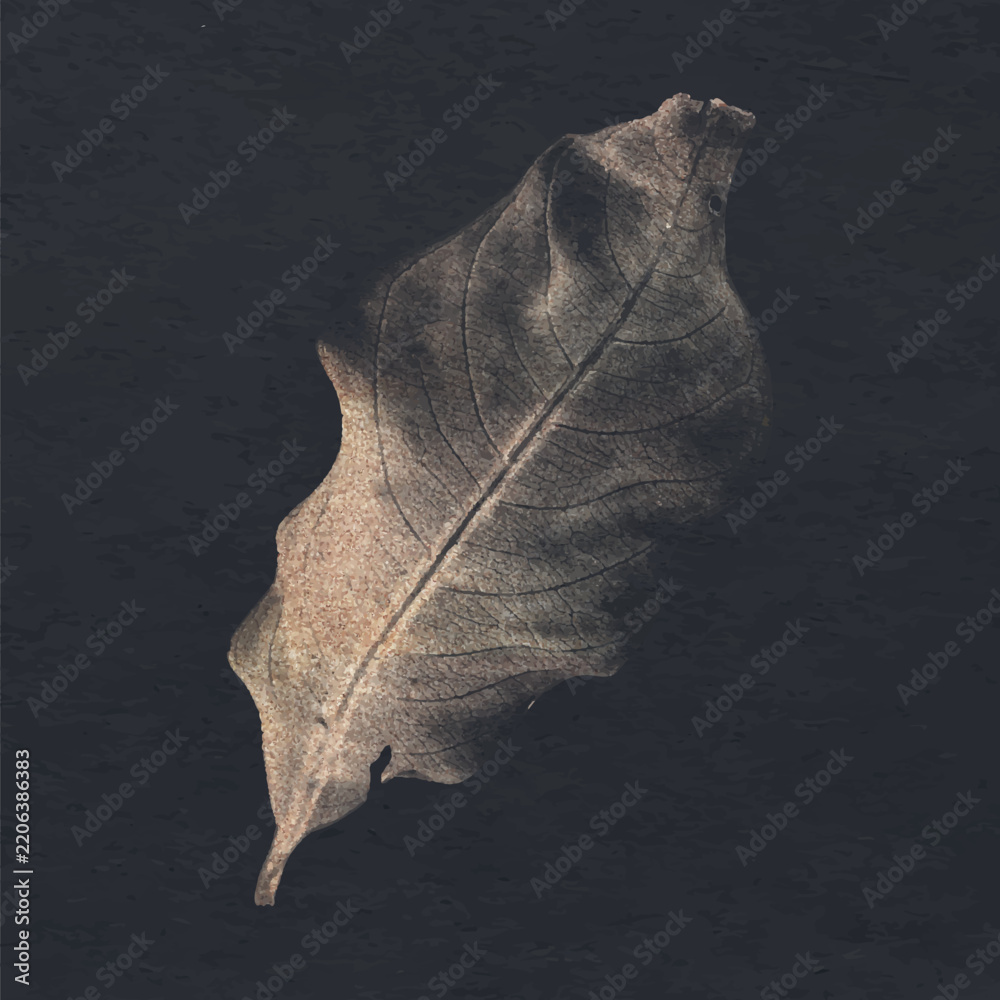 Obraz premium Autumn leaf sticker, botanical painting design vector