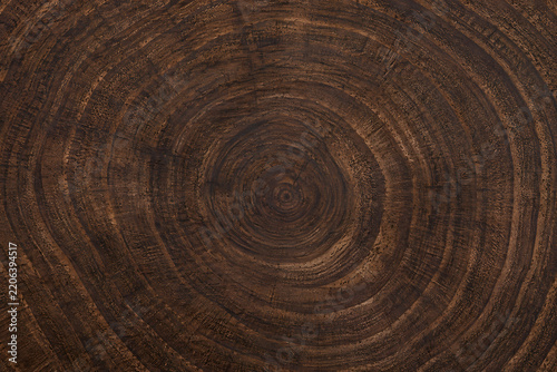 Dark walnut wood end grain