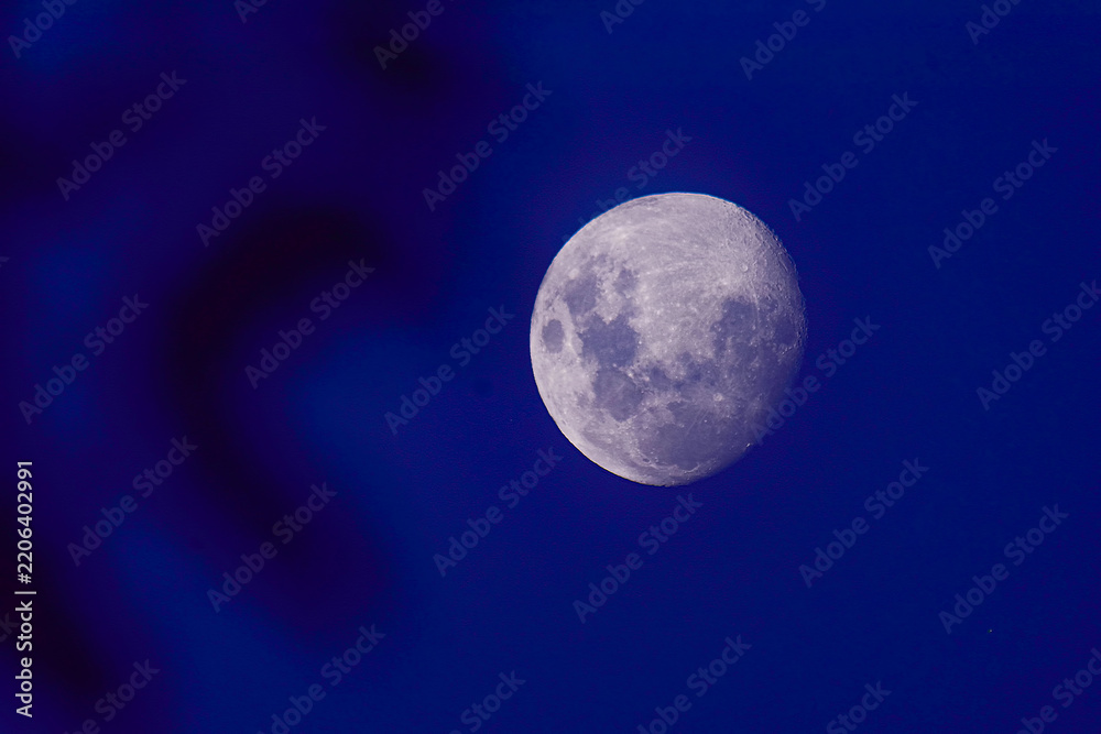 Fototapeta premium The moon at night , from Argentina