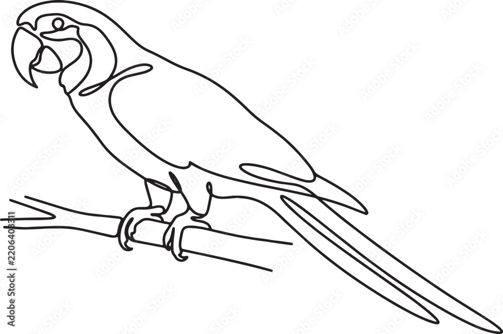 Fototapeta premium Minimalist line art illustration of a full body macaw perched