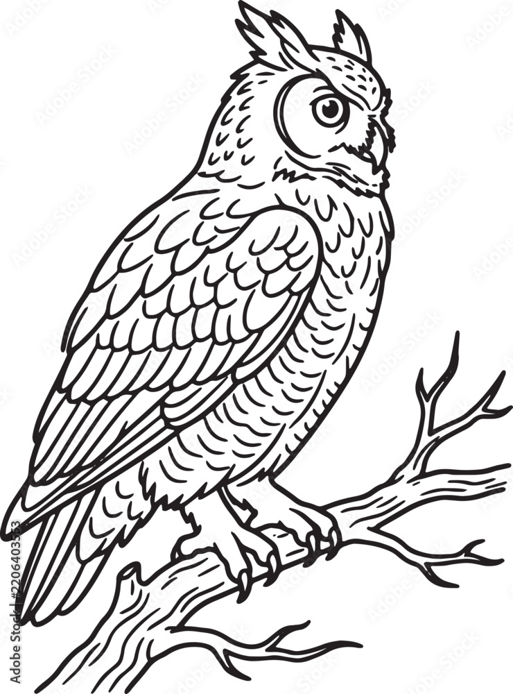 Obraz premium Minimalist black and white line art illustration of a full body owl perched on a branch