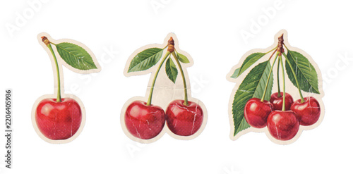 Vintage style cherry stickers set featuring sweet red cherries with green leaves in retro botanical illustration design isolated on white background
