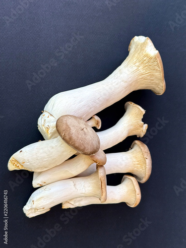King Oyster Mushrooms (Pleurotus eryngii)