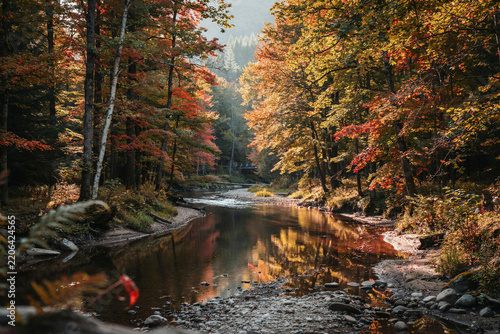 Small creek flowing through colorful autumn forest landscape with landscape