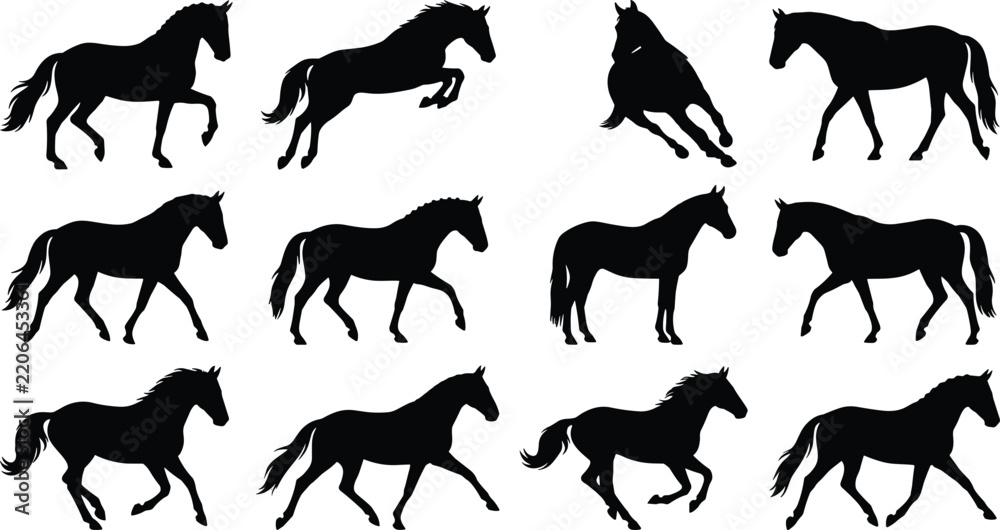 Obraz premium Collection of Black Horse Silhouettes in Various Poses Running Walking Trotting Standing