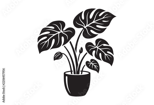 Minimalist black silhouette of an alocasia houseplant in potted. Elephant ear plant silhouette.