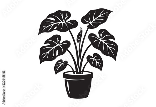 Minimalist black silhouette of an alocasia houseplant in potted. Elephant ear plant silhouette.