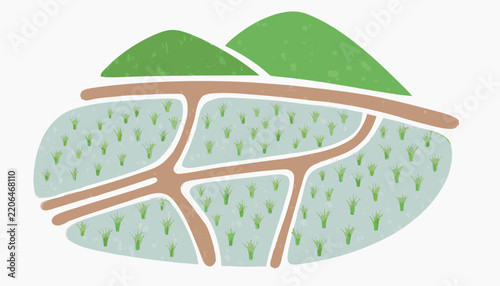 Stylized rice paddy fields illustration a flat vector design on white