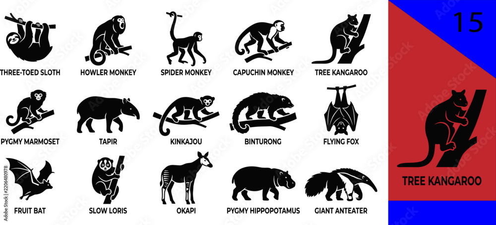 Obraz premium Black tropical animal silhouette icons set sloth kangaroo marmoset tapir kinkajou binturong fox bat loris okapi hippo anteater editable vector