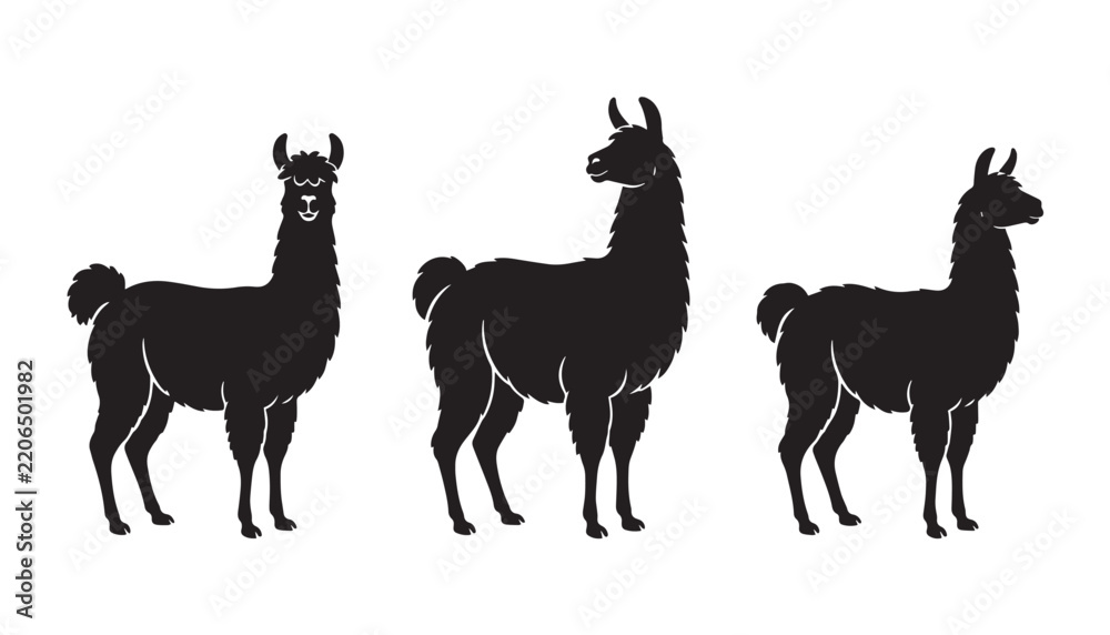 Obraz premium black color silhouette set of three llama vector illustration, solid white background