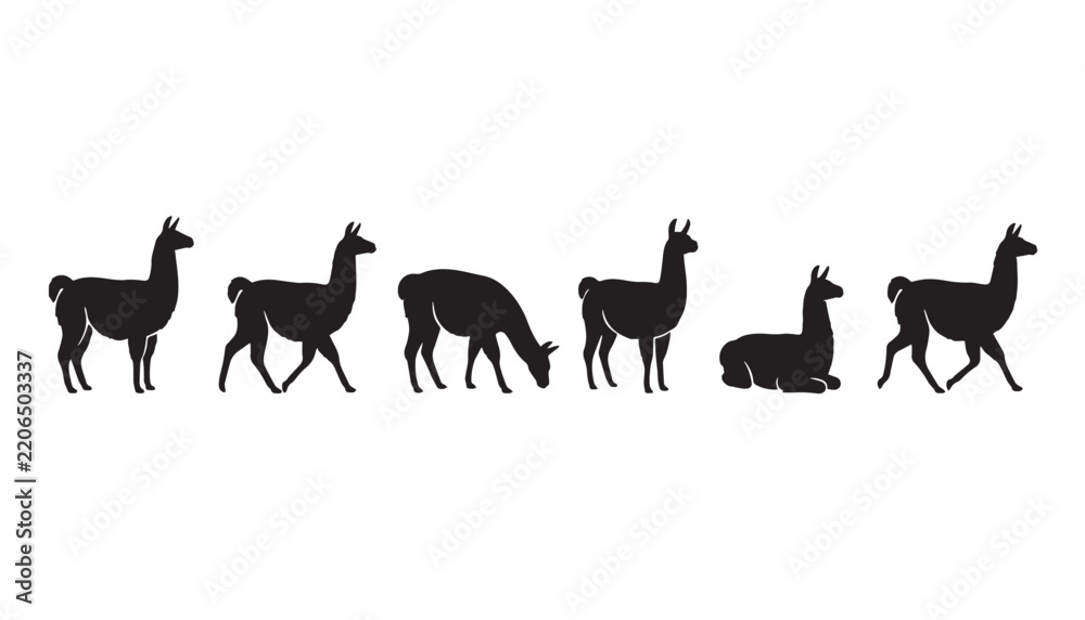 Obraz premium black color silhouette set of six llama vector illustration, solid white background