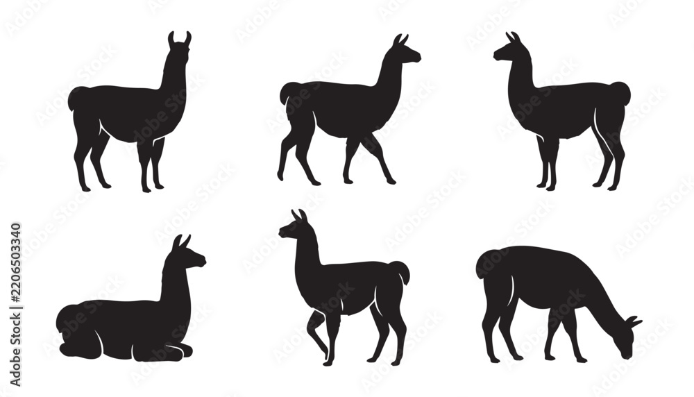 Obraz premium black color silhouette set of six llama vector illustration, solid white background