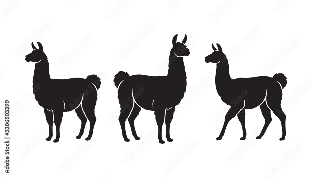 Fototapeta premium black color silhouette set of three llama vector illustration, solid white background
